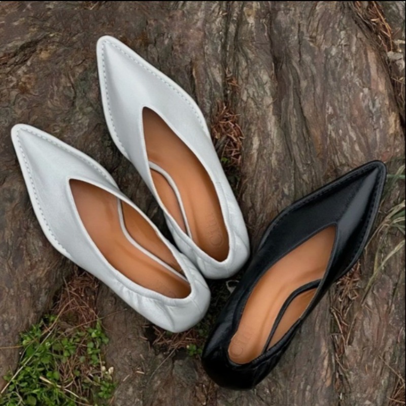 Women Fashion Trend 2025 - 2025 New Pointed Toe Single Shoes