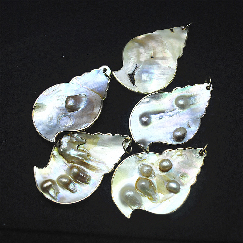 3PCS Nature Shell Pendants Mot - Women Fashion Nz incelemesi ve fiyatı